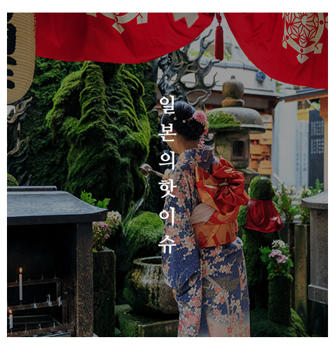 아사히일본어전문학원_메뉴_